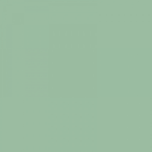 Затирка Supercolour 160