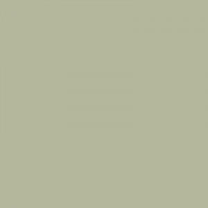 Затирка Supercolour 116
