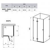 Душевая штора BSDPS-120/80 L Transparent