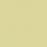 Затирка Supercolour 170